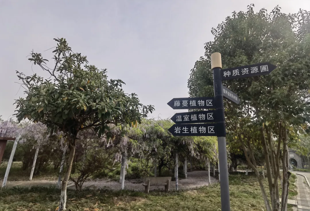 图片18.png